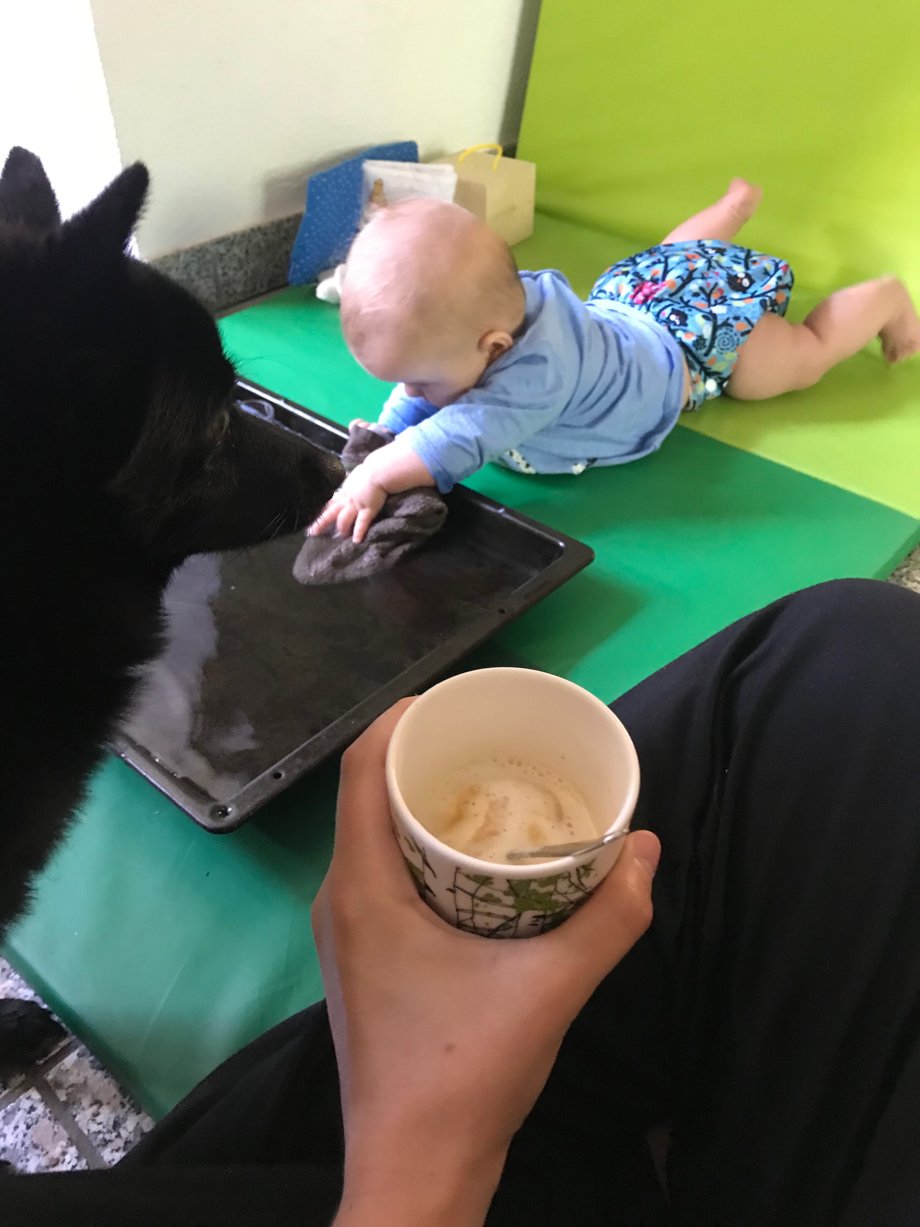 Kind und zwei Hunde beschäftigen sich nebeneinander im Hof